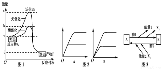 各種規格干細胞相關因子