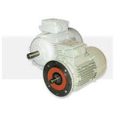 德國(guó)SSB電機(jī)
