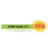 CYR61 是診斷 / 判斷乳腺癌惡化的腫瘤標志物。