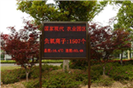 負(fù)氧離子顯示屏